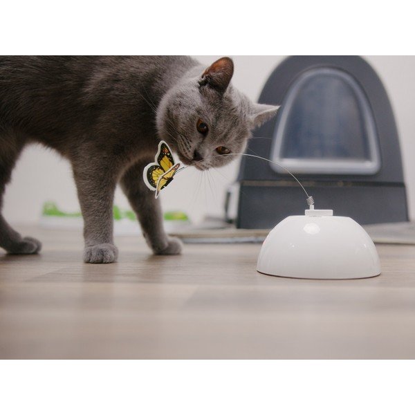 Kassi mänguasi Epic Pet Interactive Butterfly – Plaček Pet Products-image-1