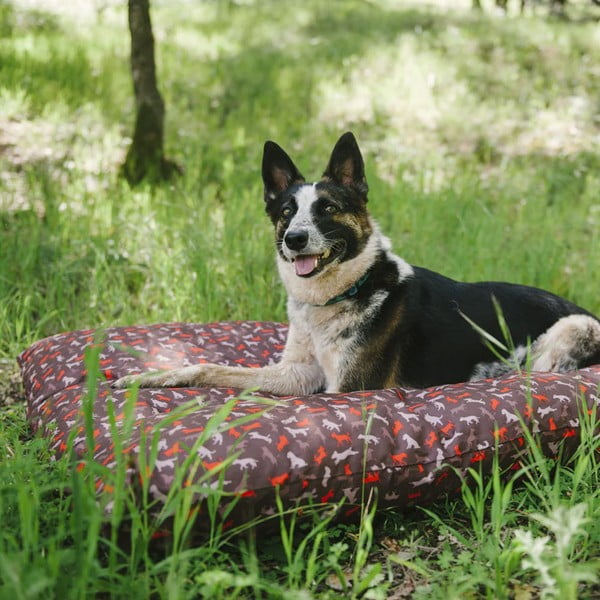 Pruun koeravoodi 50x70 cm Outdoor Bed Mocha S - P.L.A.Y.-image-1