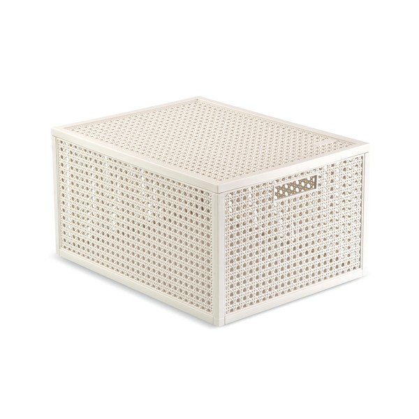 Kreemjas säilituskarp kaanega, valmistatud taaskasutatud plastist, 30x38x21 cm Kaya - Curver