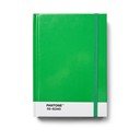 Märkmik Green 16-6340 - Pantone