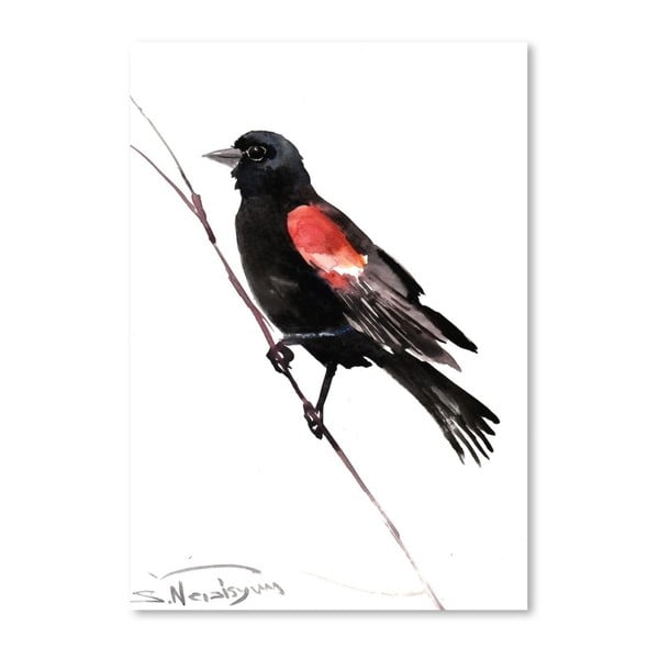Autorský plakát Red Winged Blackbird od Surena Nersisyana, 60 x 42 cm