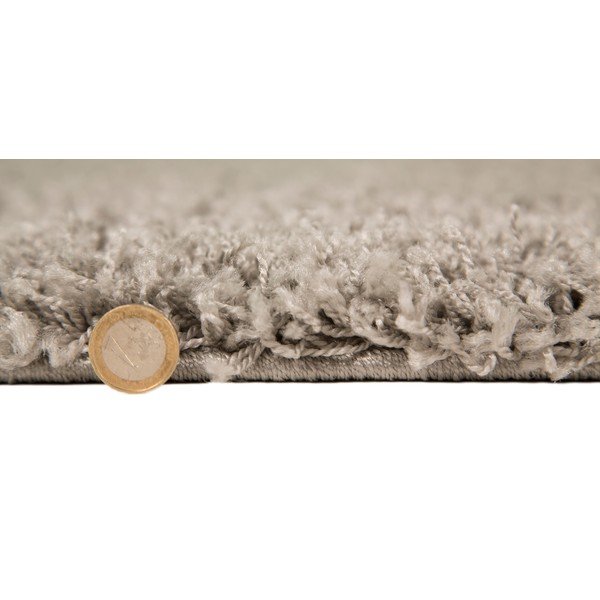 Vaip Cariboo Silver, 80 x 150 cm - Flair Rugs-image-3