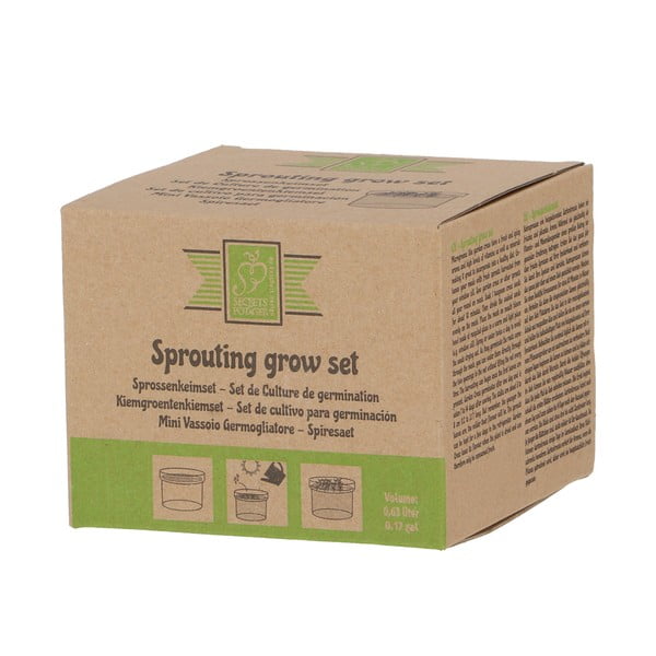 Klaas idanemisnõu ø 12 cm – Esschert Design-image-3