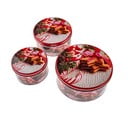 Metallist küpsisepurkide komplekt 3 tk Christmas – Dakls