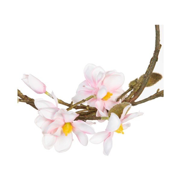 Pärg Magnolia - Ixia-image-4
