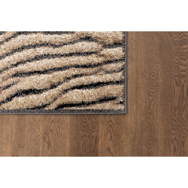 Pruun vaip 160x220 cm Avanti - FD-image-3