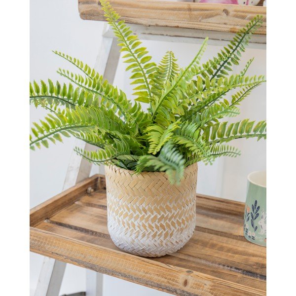 Lillepoti kate  mererohi ø 12 cm Ombré – Kitchen Craft-image-1