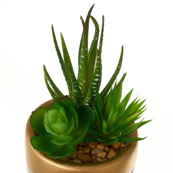 Kunsttaimed komplektis 4 tk (kõrgus 17 cm) Cactus – Casa Selección-image-2