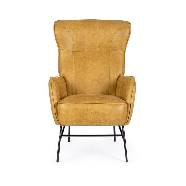 Sinepikarva kunstnahast tugitool Nasira - Bizzotto-image-2