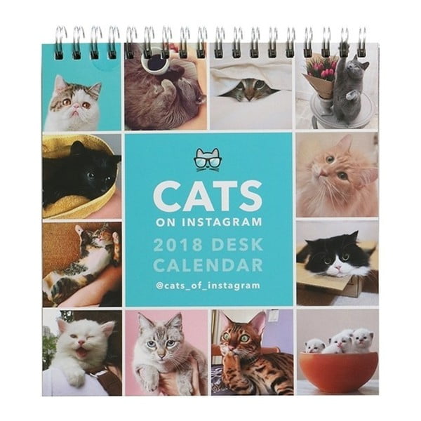 Stolní kalendář pro rok 2018 Portico Designs Cats On Instagram
