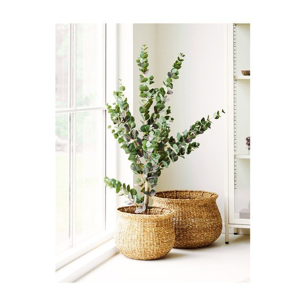 2 mererohust lillepotti komplektis, ø 46 cm Eden - House Nordic-image-2