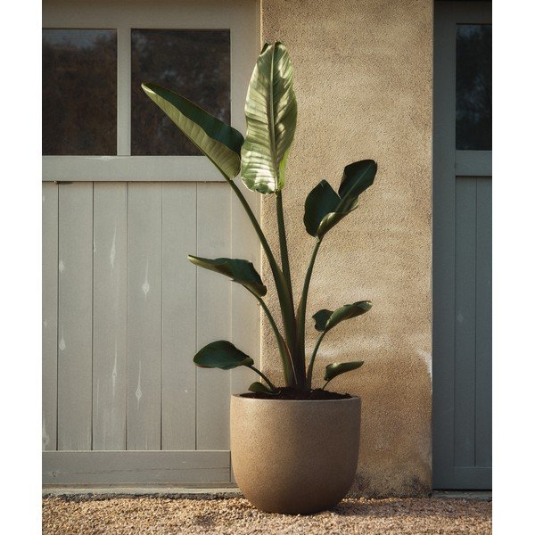 Lillepotikatted komplektis 2 tk, tsemendist, ø 44 cm Selvi - Kave Home-image-1