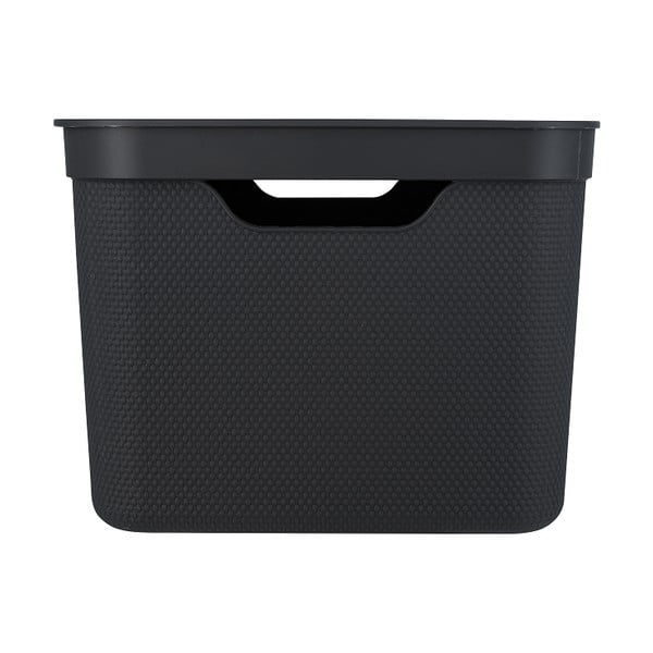 Kaanega plastist hoiukarp Deco - Rotho-image-2