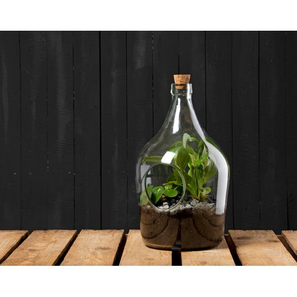 Klaas terraarium ø 20 cm – Esschert Design-image-1