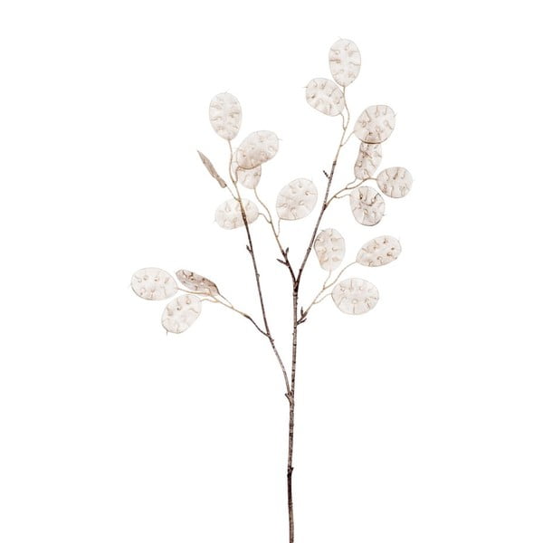 Dekorace Eukalypt Silver, 68 cm
