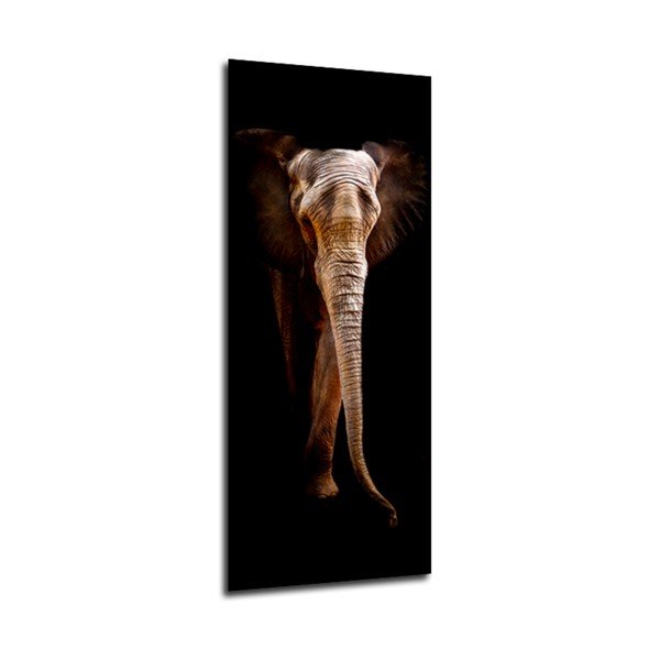 Pilt , 125 x 50 cm Elephant - Styler-image-1