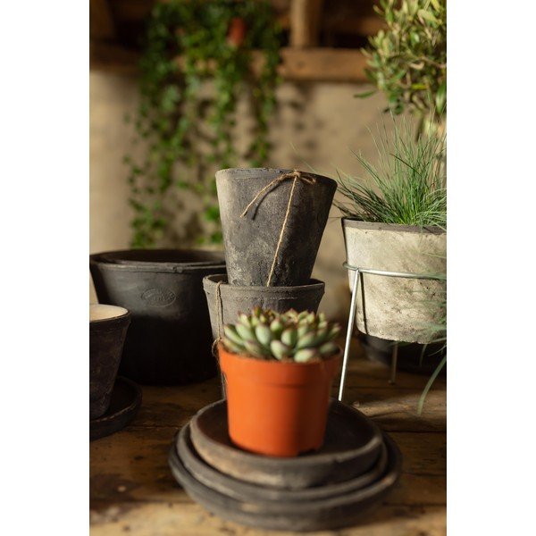 Komplekt 3 halli terrakota potti - Esschert Design-image-1