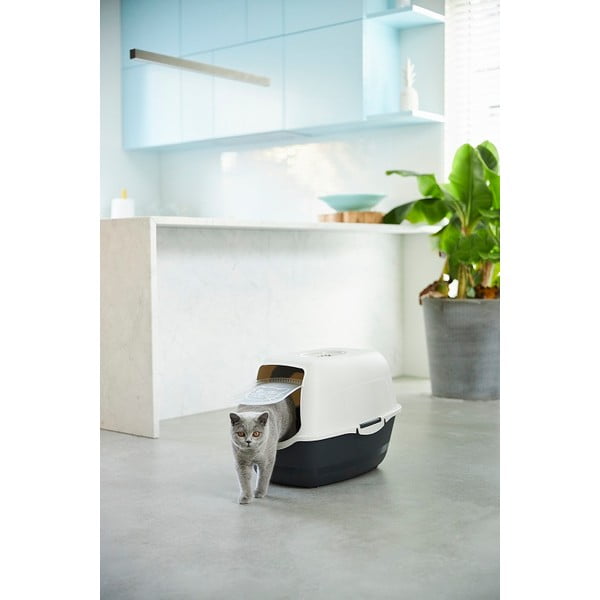 Kasside pesakast 56x40 cm Eco Bailey - Rotho-image-1