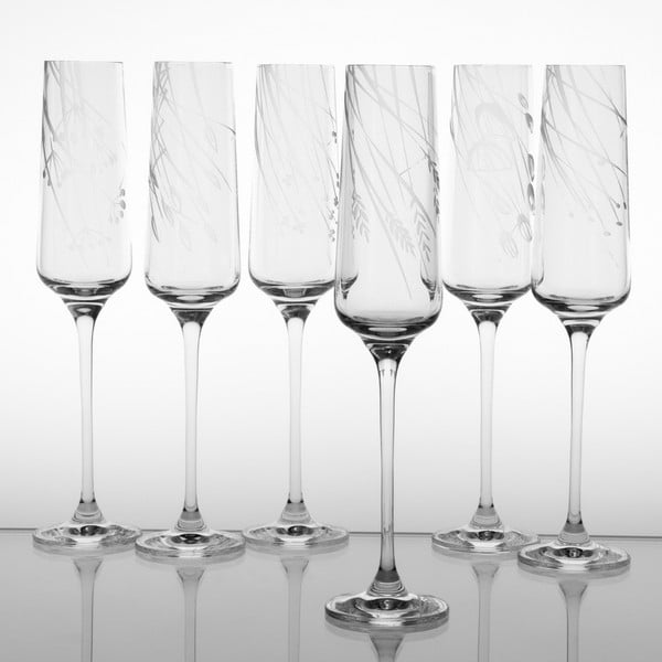 Ateliér Žampach, set 6 ks skleniček na šampaňské Traviny dolů