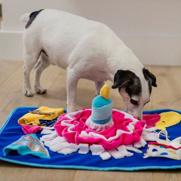 Nuusutamistekk Pawty – P.L.A.Y.-image-1