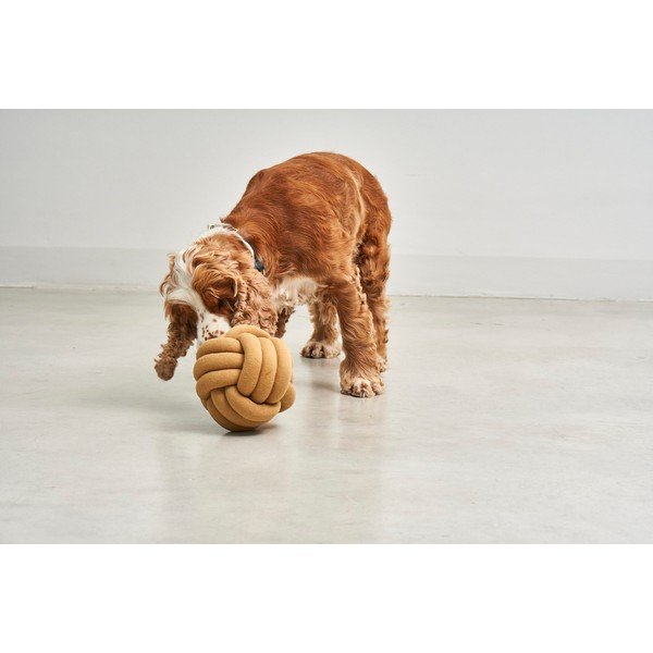 Koera mänguasi Tubo Curry - MiaCara-image-1