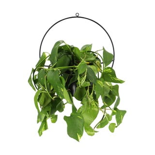 Metall lillepoti kate Planter – Esschert Design