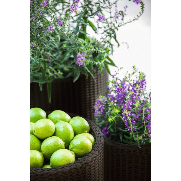 Plastikust pottide komplekt 3 tk ø 43 cm Cylinder - Keter-image-1