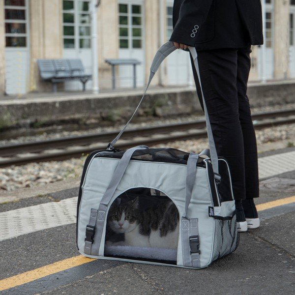 Hall transpordikott 25,5x48 cm Oxford – Love Story-image-1