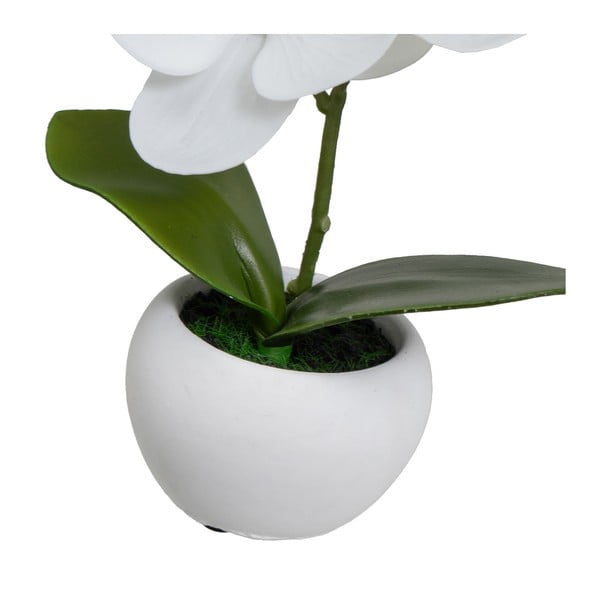 Kunsttaimed 3tk komplektis (kõrgus 15 cm) Orchid - Casa Selección-image-2