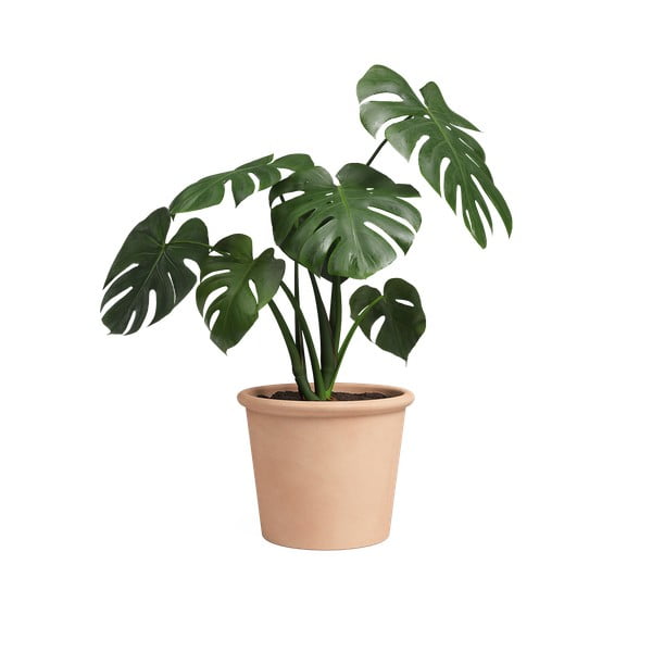 Terrakotta lillepott ø 39 cm Saramago Cilindro - Artevasi-image-1