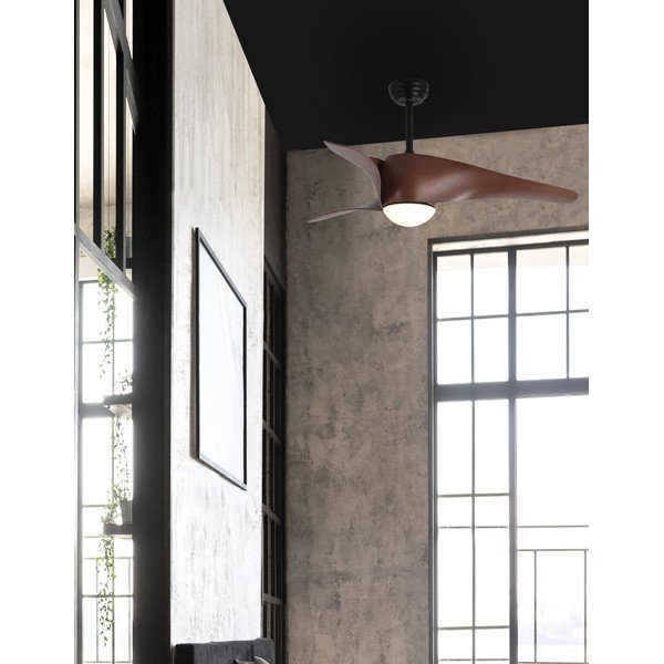 Matt must/tume naturaalne metall LED-laevalgusti klaasist varjuga Breeze - Nova Luce-image-2