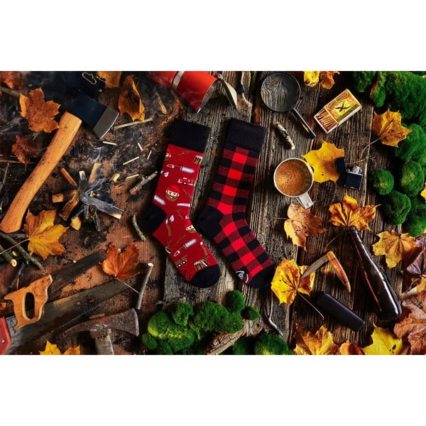 Sokid , suurus 35-38 Lumberjack Life - Many Mornings-image-2