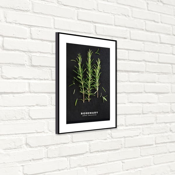 Plakat raamis 50x70 cm Rosemary - Styler-image-4