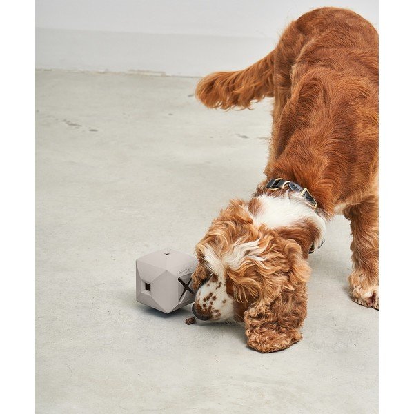 Koera mänguasi Dado Greige - MiaCara-image-2