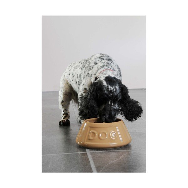 Keraamiline kauss koertele, ø 21 cm Pet Cane Dog - Mason Cash-image-4