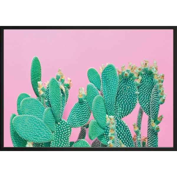 Seinaplakat raamiga CACTUS, 50 x 70 cm Cactus - DecoKing