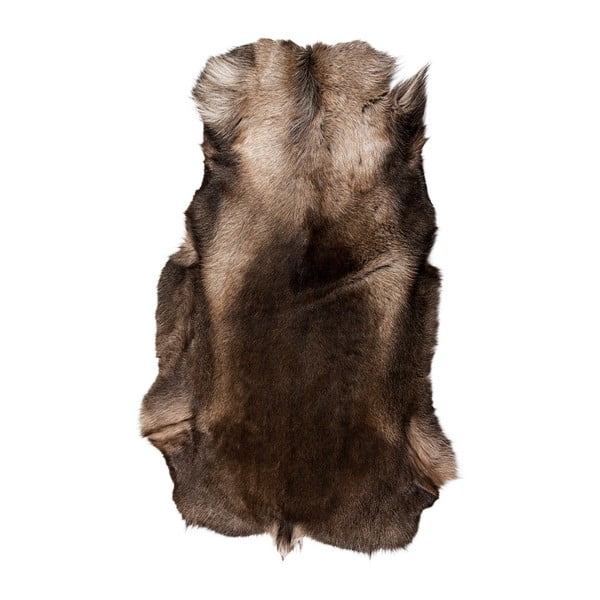 Tmavě hnědá sobí kožešina Arctic Fur Reino, 120 x 100 cm