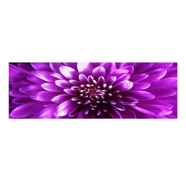 Obraz na skle Fialový květ, 30x90 cm