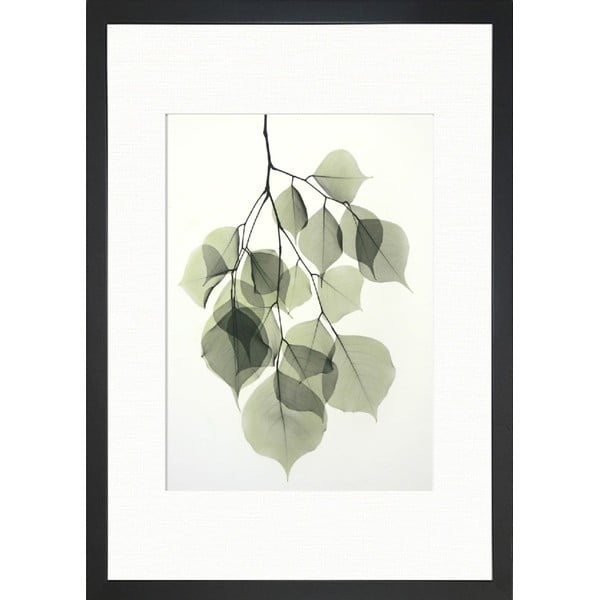 Plakat 24x29 cm Tender Leaves - Tablo Center