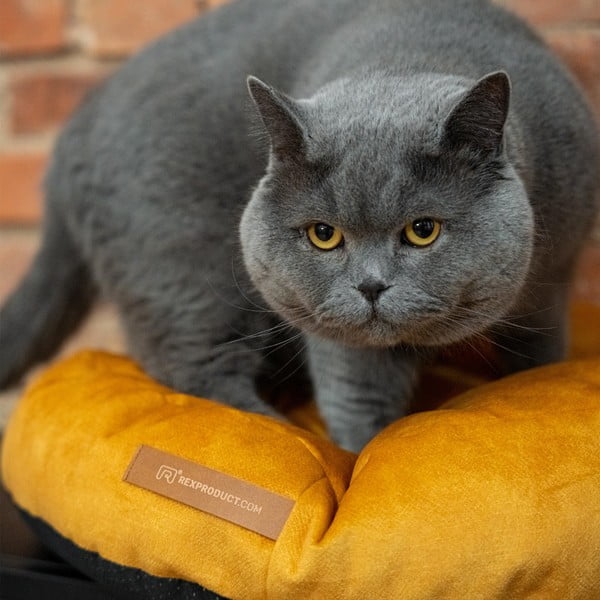 Kollane madrats ø 50 cm Coco S – Rexproduct-image-3