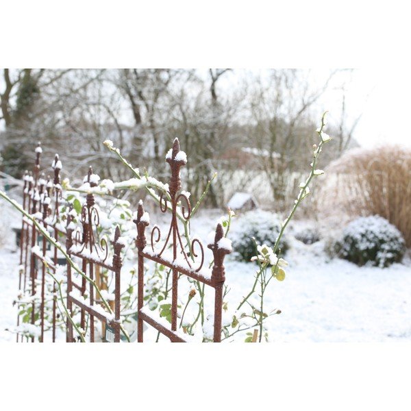 Metall taimetugi (kõrgus 164,5 cm) Lilly – Esschert Design-image-1