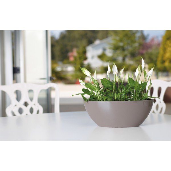 Taaskasutatud plastikust karp 35 cm Bahia - Artevasi-image-2