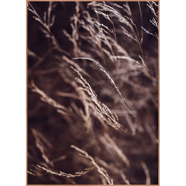 Plakat raamis 50x70 cm Mellow Grasses 7 - Malerifabrikken