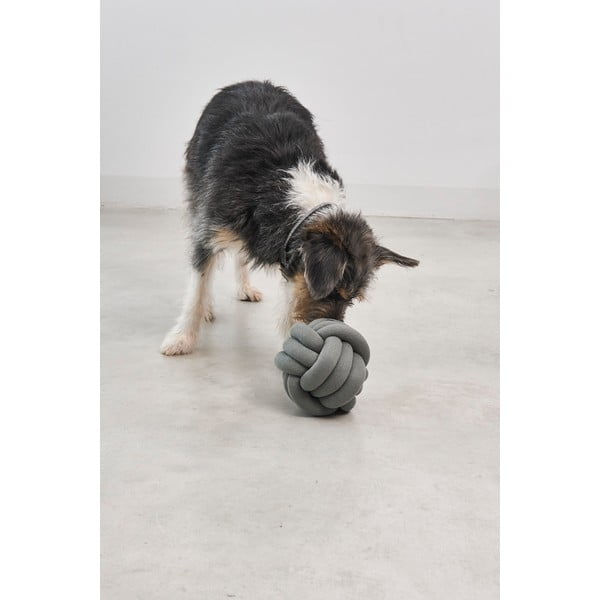 Koera mänguasi Tubo Stormy Sea - MiaCara-image-2