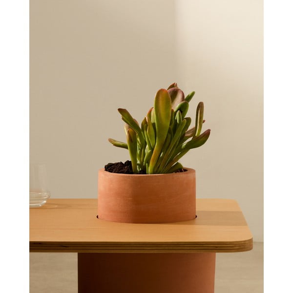 Ümmargune saarepuidu spoonist diivanilaud 60x110 cm Olaria - Kave Home-image-2