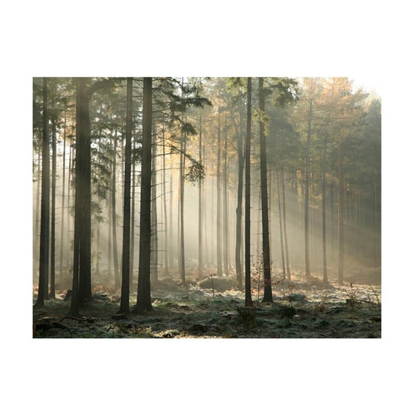 Suureformaadiline tapeet , 400 x 309 cm Foggy November Morning - Artgeist