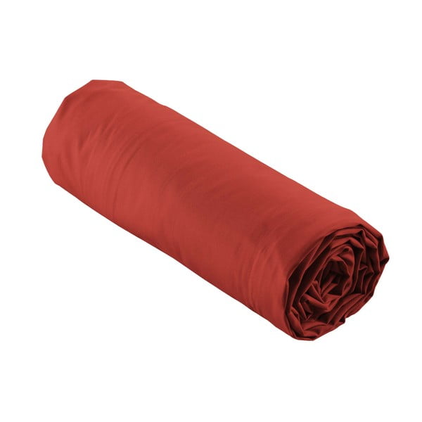 Tellisevärvi puuvill-perkalist kummiga lina 180x200 cm Percaline - douceur d'intérieur-image-4