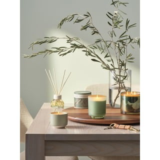 Lõhnapulgad Hinoki Sage - ILLUME x Bloomingville