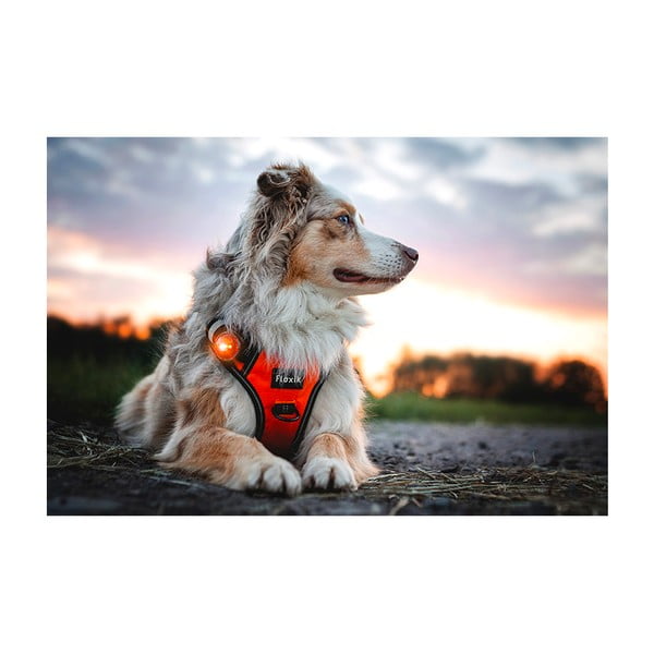 LED-kaelarihm Amber – Orbiloc-image-4