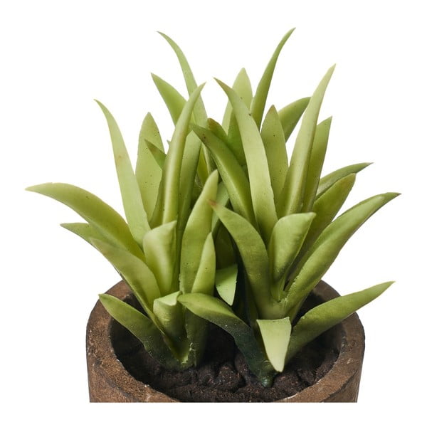 Kunsttaimed 4 tk komplektis (kõrgus 10 cm) Cactus – Casa Selección-image-3